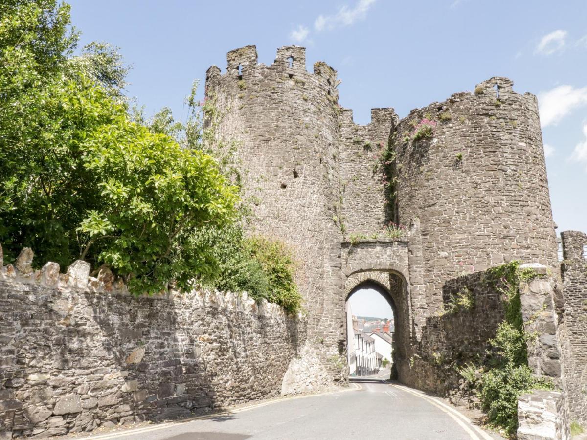 Oakwood Stables Villa Conwy Bagian luar foto
